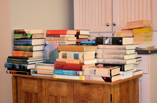 Our books now reside in the living room, along with our bed and three recliners.