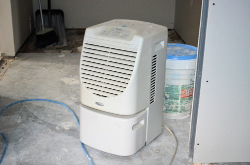 A dehumidifier is an essential tool.